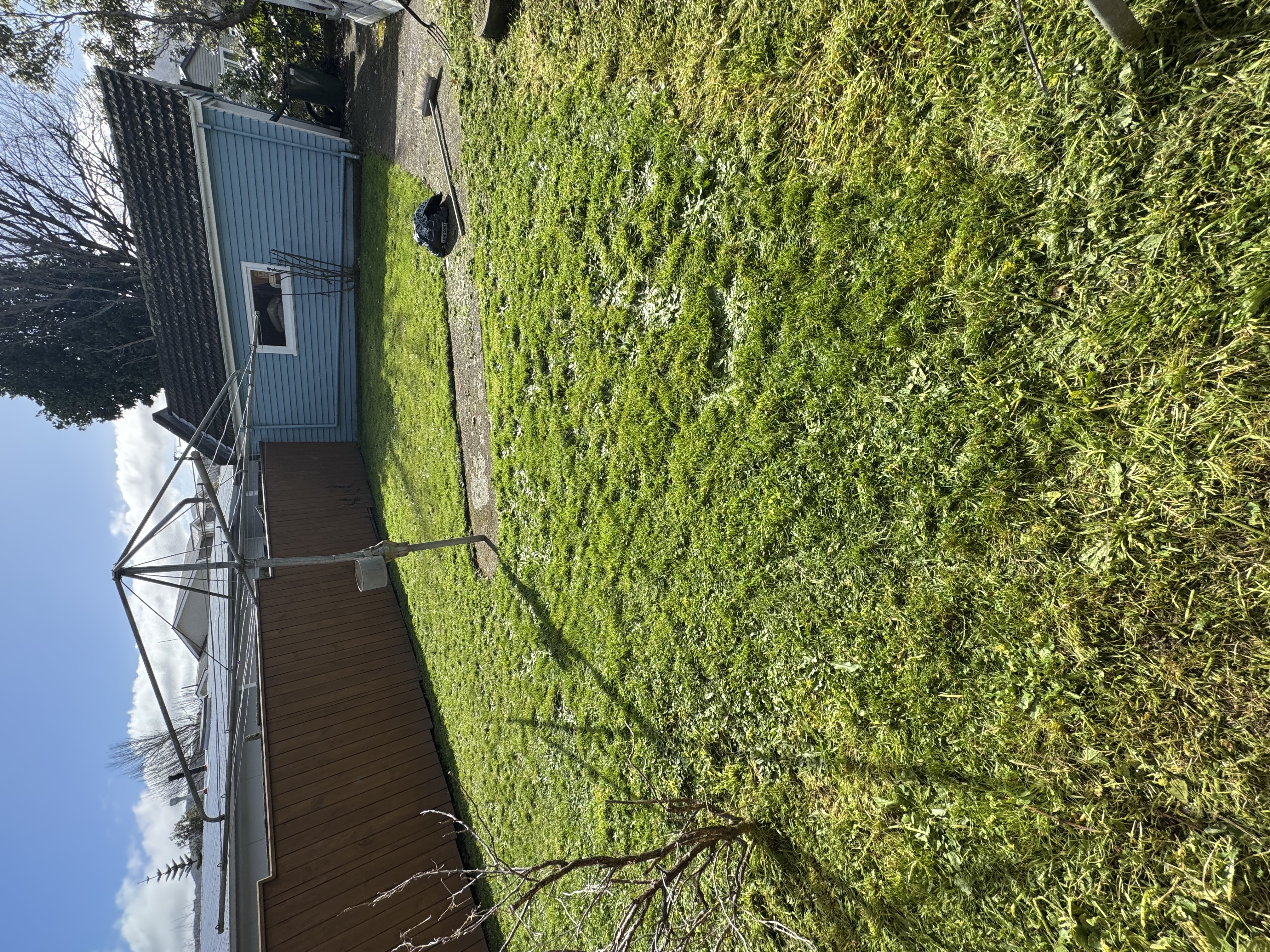 Wellington lawn care service results
