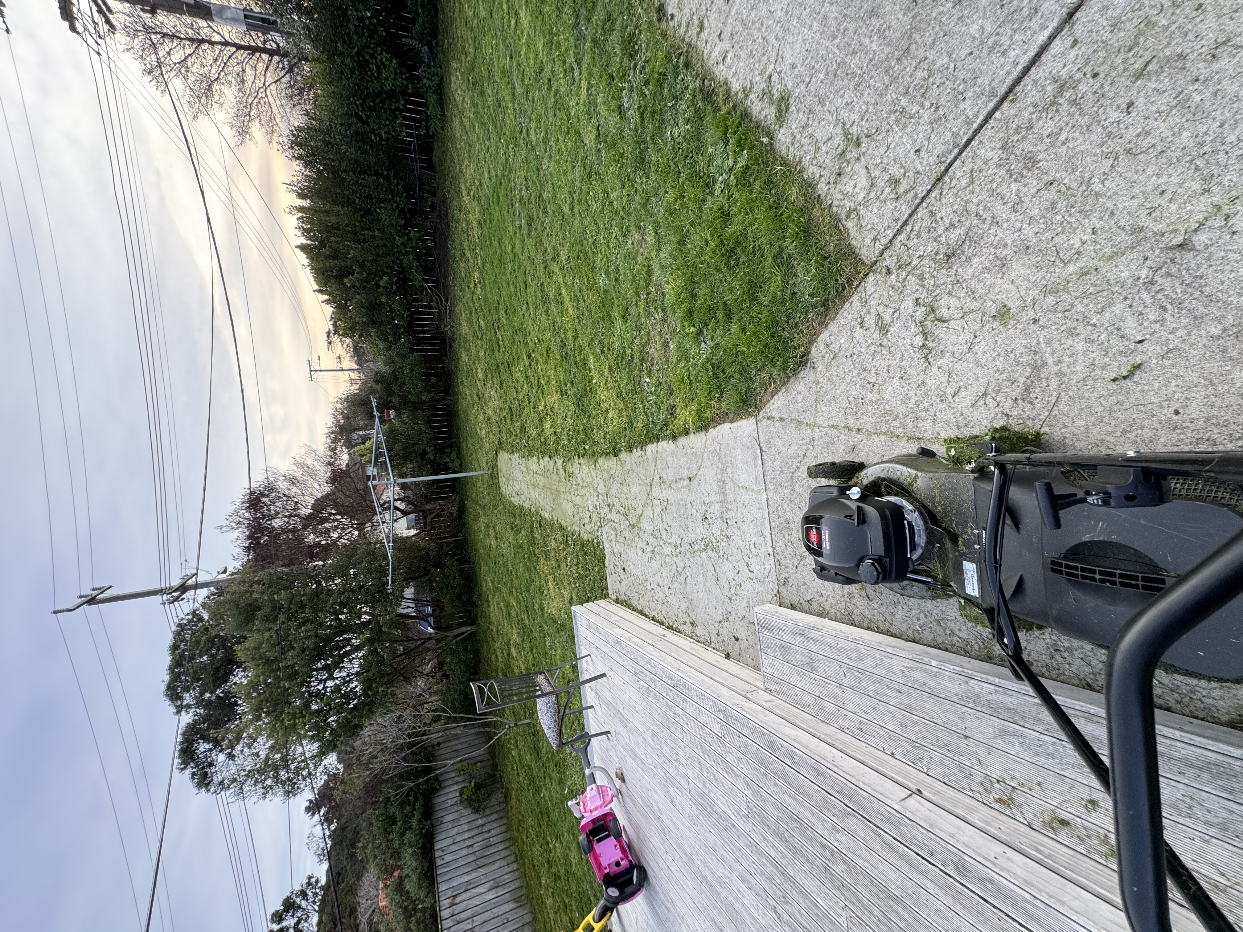 Professional lawn mowing results Wellington - before and after